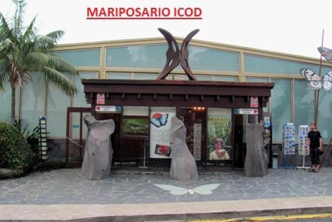 Apartamento Vistas De Icod Icod De Los Vinos Bagian luar foto